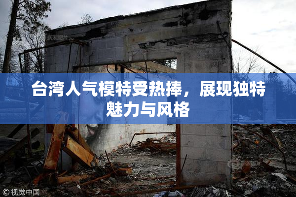台湾人气模特受热捧，展现独特魅力与风格