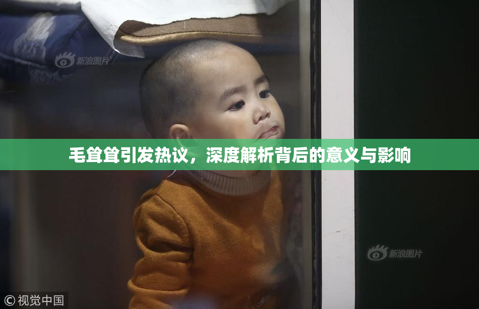 毛耸耸引发热议，深度解析背后的意义与影响