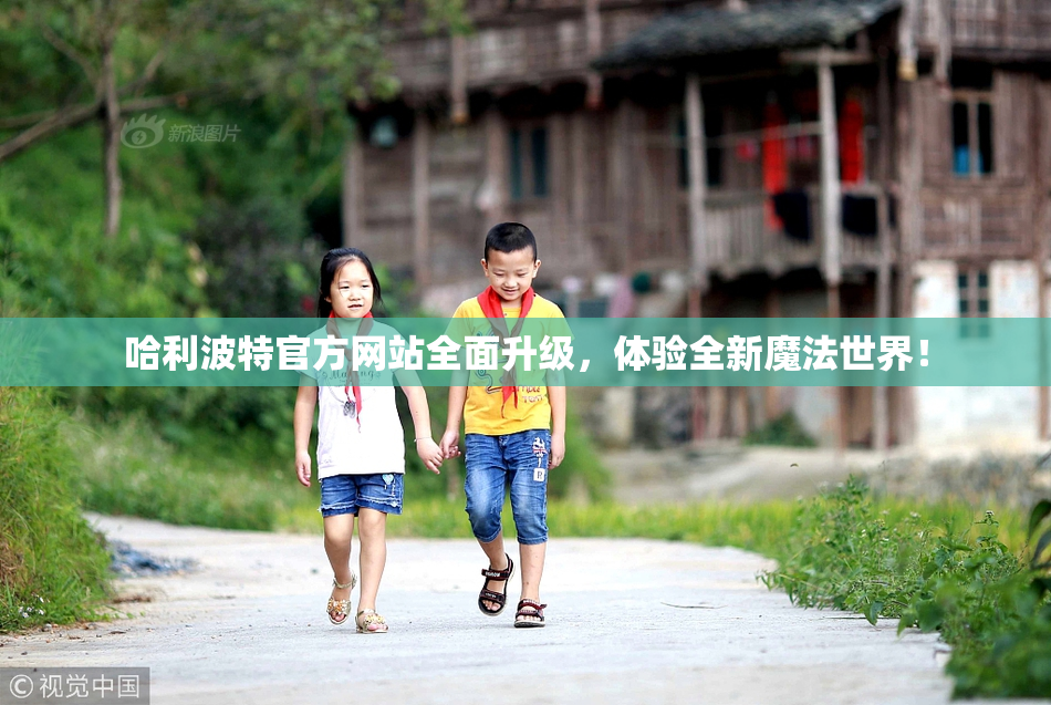 哈利波特官方网站全面升级，体验全新魔法世界！