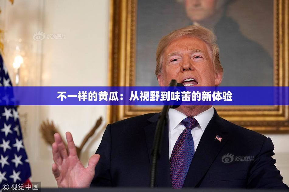 不一样的黄瓜：从视野到味蕾的新体验
