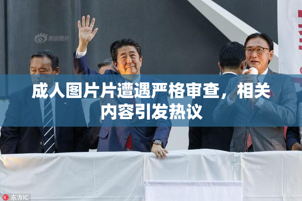 成人图片片遭遇严格审查，相关内容引发热议