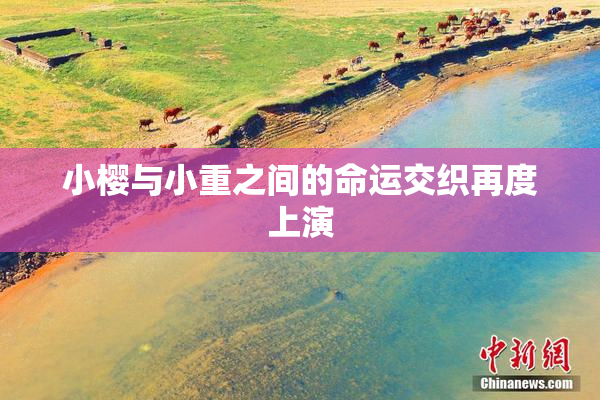 小樱与小重之间的命运交织再度上演