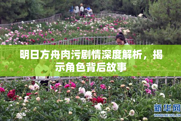 明日方舟肉污剧情深度解析，揭示角色背后故事