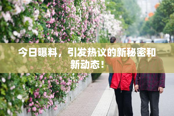 今日曝料，引发热议的新秘密和新动态！