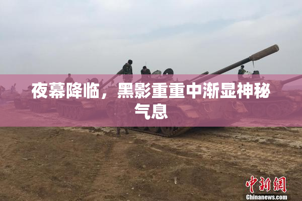夜幕降临，黑影重重中渐显神秘气息
