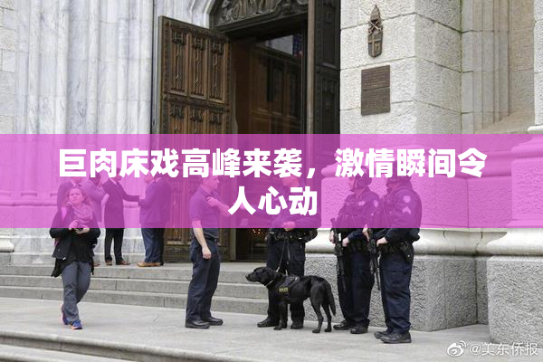 巨肉床戏高峰来袭，激情瞬间令人心动