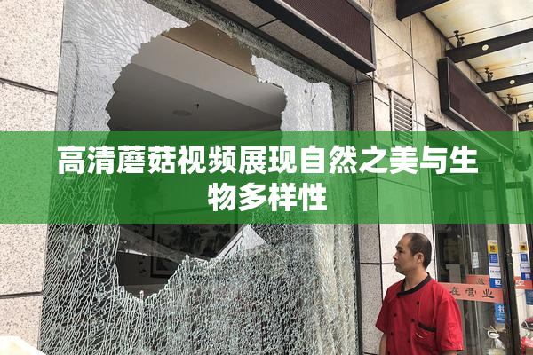 高清蘑菇视频展现自然之美与生物多样性