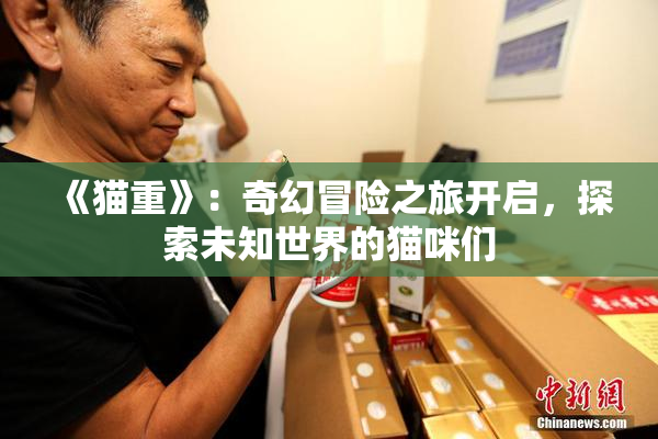 《猫重》：奇幻冒险之旅开启，探索未知世界的猫咪们