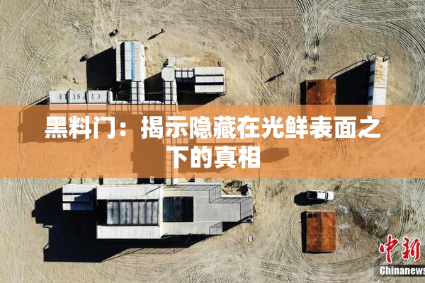 黑料门：揭示隐藏在光鲜表面之下的真相