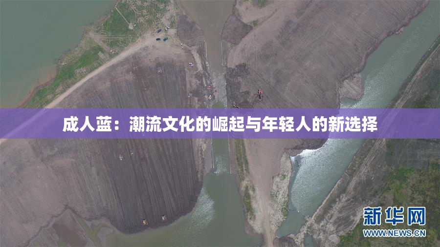 成人蓝：潮流文化的崛起与年轻人的新选择
