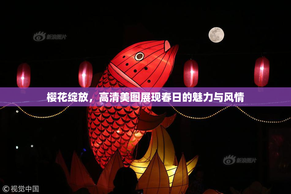 樱花绽放，高清美图展现春日的魅力与风情