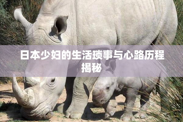 日本少妇的生活琐事与心路历程揭秘
