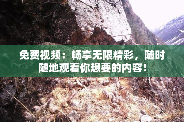 免费视频：畅享无限精彩，随时随地观看你想要的内容！