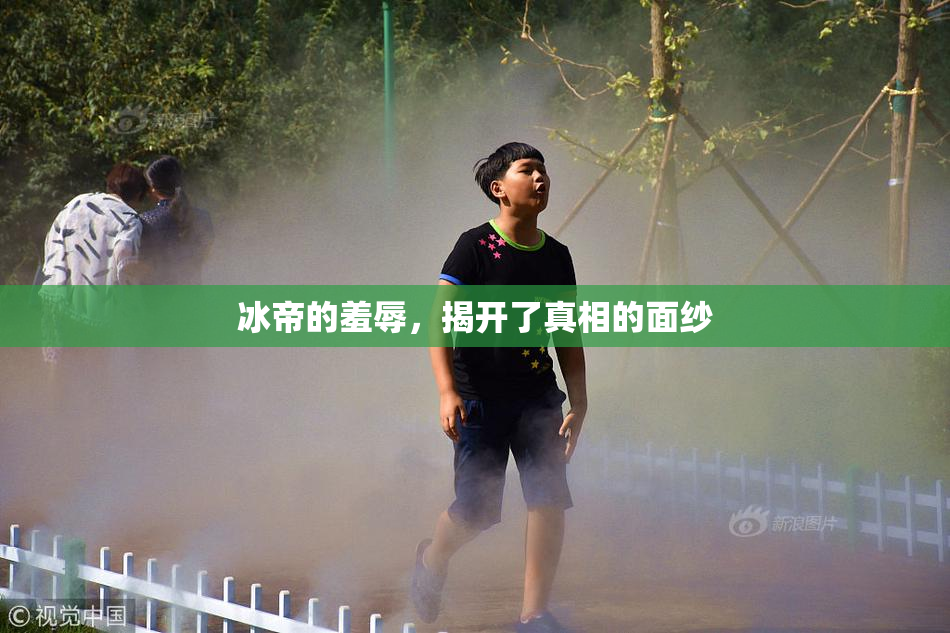 冰帝的羞辱，揭开了真相的面纱