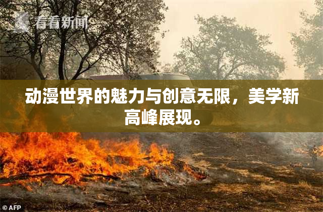 动漫世界的魅力与创意无限，美学新高峰展现。