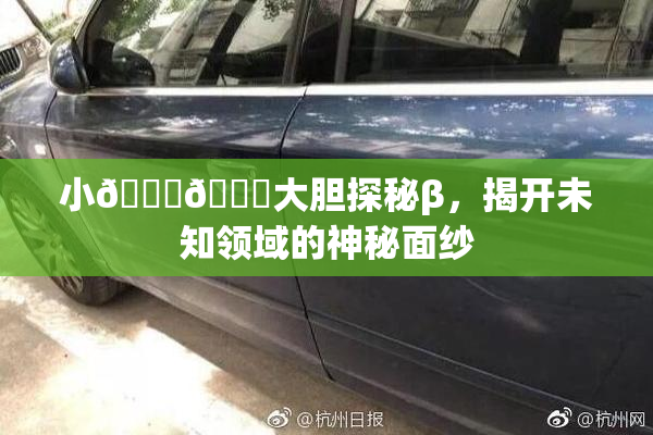 小🐔🐔大胆探秘β，揭开未知领域的神秘面纱