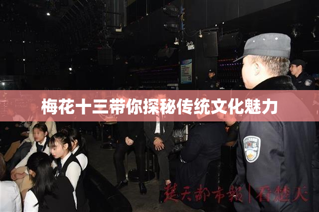 梅花十三带你探秘传统文化魅力