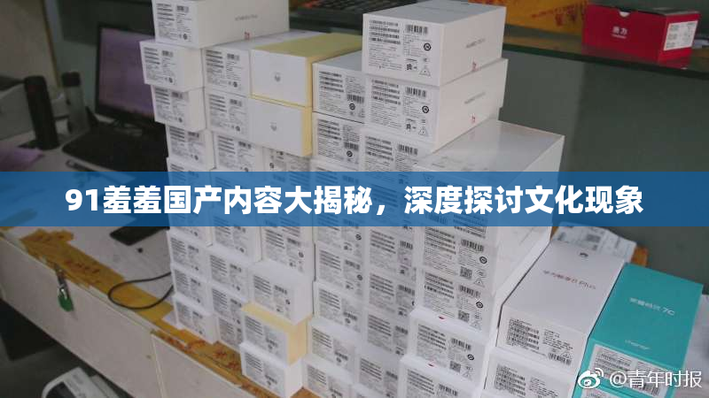 91羞羞国产内容大揭秘，深度探讨文化现象