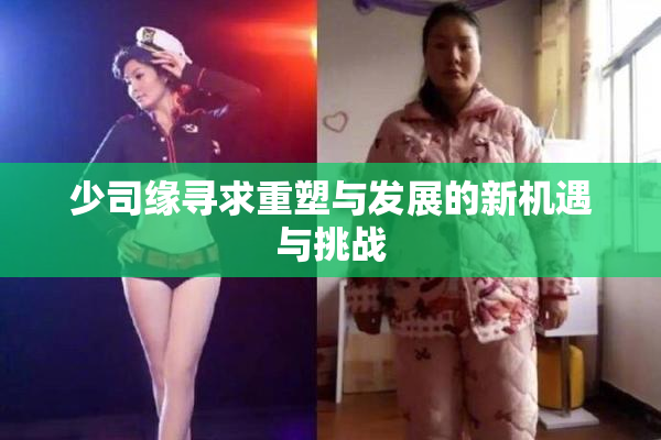 少司缘寻求重塑与发展的新机遇与挑战
