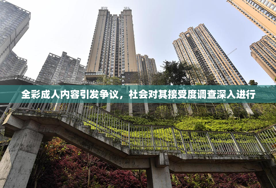 全彩成人内容引发争议，社会对其接受度调查深入进行