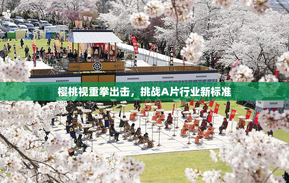 樱桃视重拳出击，挑战A片行业新标准