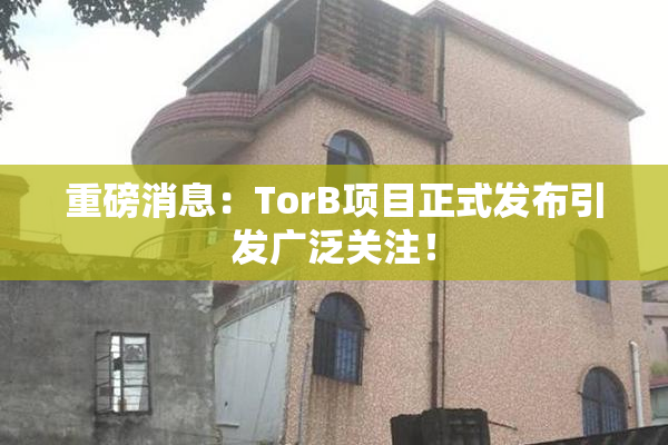 重磅消息：TorB项目正式发布引发广泛关注！