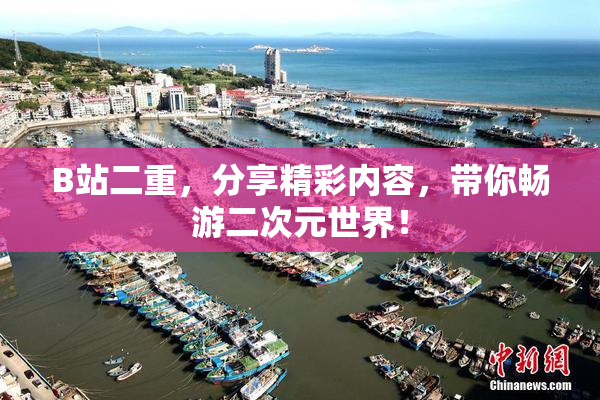 B站二重，分享精彩内容，带你畅游二次元世界！