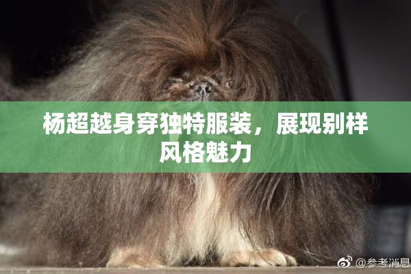 杨超越身穿独特服装，展现别样风格魅力