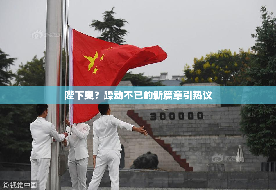 陛下爽？躁动不已的新篇章引热议