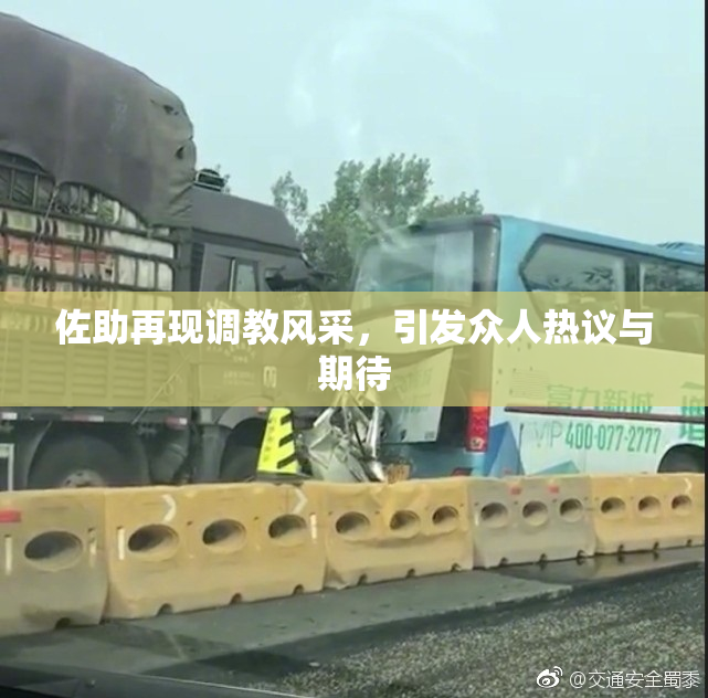 佐助再现调教风采，引发众人热议与期待
