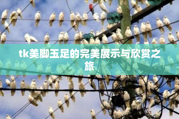 tk美脚玉足的完美展示与欣赏之旅