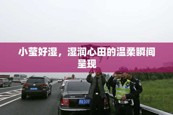 小莹好湿，湿润心田的温柔瞬间呈现