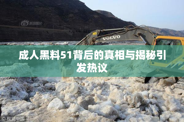 成人黑料51背后的真相与揭秘引发热议