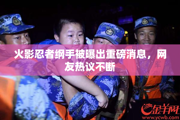 火影忍者纲手被曝出重磅消息，网友热议不断