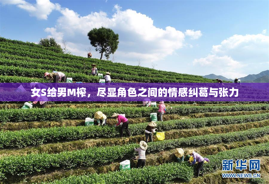 女S给男M榨，尽显角色之间的情感纠葛与张力