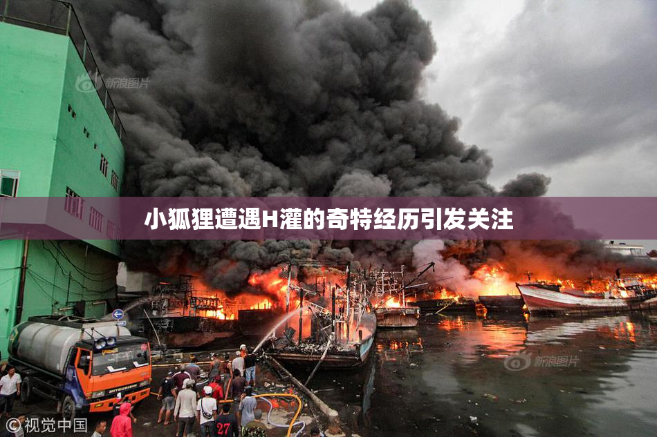 小狐狸遭遇H灌的奇特经历引发关注