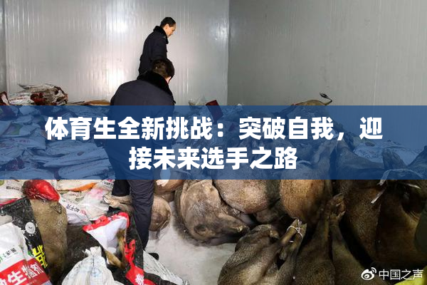体育生全新挑战：突破自我，迎接未来选手之路