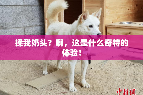 揉我奶头？啊，这是什么奇特的体验！