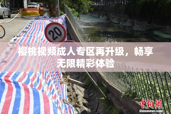 樱桃视频成人专区再升级，畅享无限精彩体验