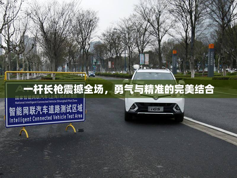 一杆长枪震撼全场，勇气与精准的完美结合