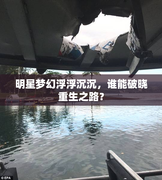明星梦幻浮浮沉沉，谁能破晓重生之路？