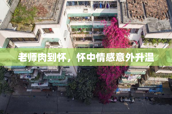 老师肉到怀，怀中情感意外升温