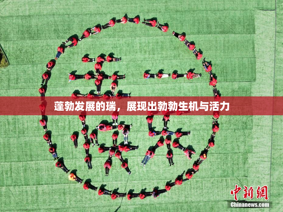 蓬勃发展的瑞，展现出勃勃生机与活力