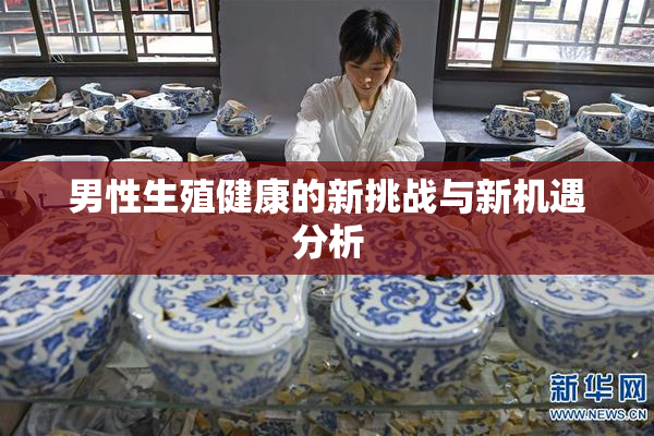 男性生殖健康的新挑战与新机遇分析