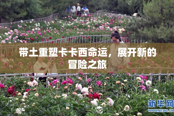 带土重塑卡卡西命运，展开新的冒险之旅