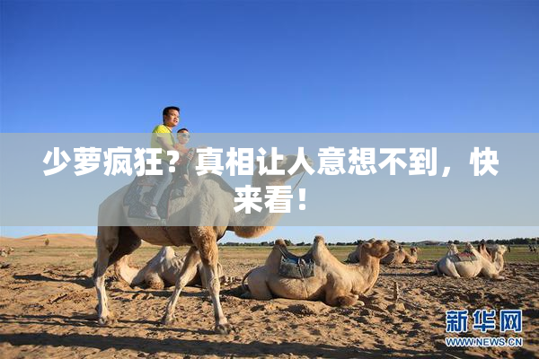 少萝疯狂？真相让人意想不到，快来看！