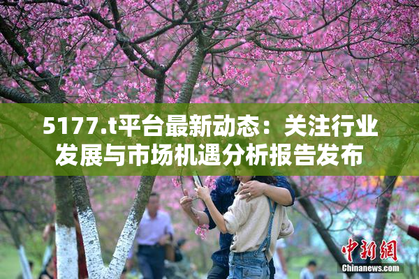 5177.t平台最新动态：关注行业发展与市场机遇分析报告发布