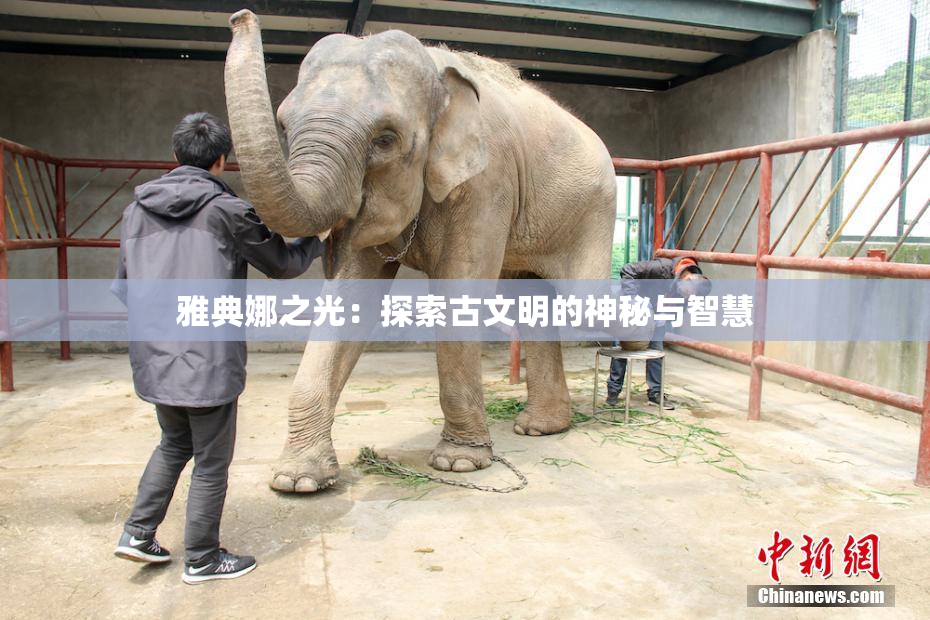 雅典娜之光：探索古文明的神秘与智慧