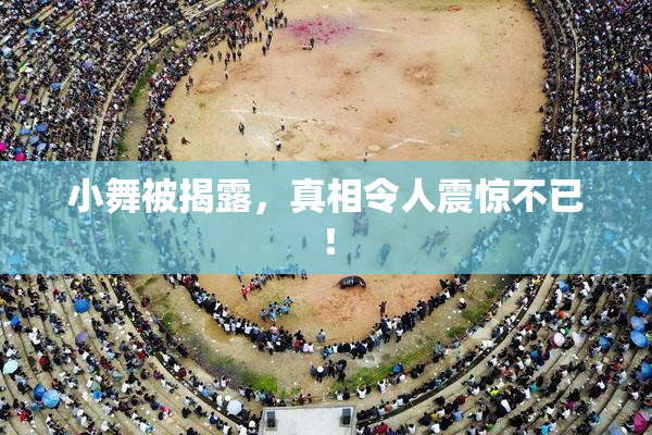 小舞被揭露，真相令人震惊不已！