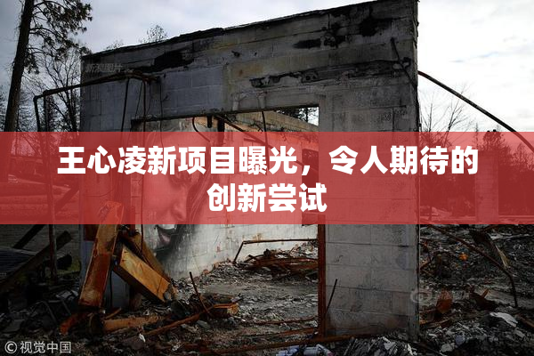 王心凌新项目曝光，令人期待的创新尝试